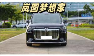 岚图梦想家7座、自驾/配司机