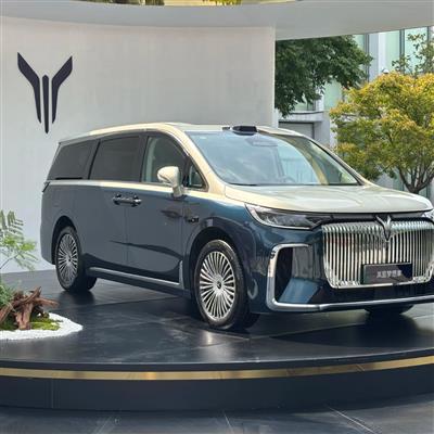 岚图梦想家 7座