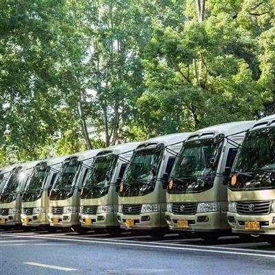 丰田考斯特营运版18座 -20座