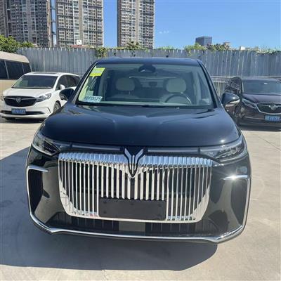 岚图梦想家 7座